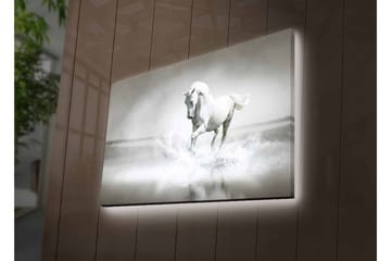 Canvastavla med LED-belysning - Vit häst som sprutar vatten i en dimmig miljö - Vit / Grå - Inredning - Tavlor & posters - Canvastavla