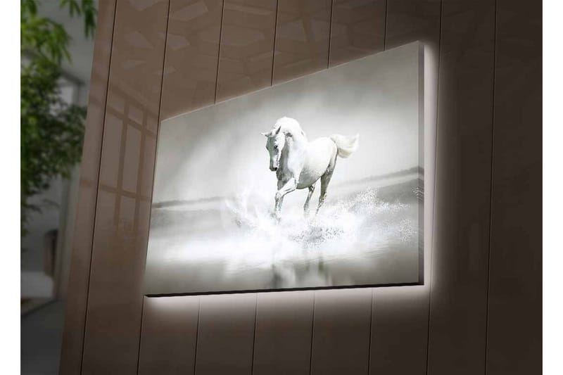Canvastavla med LED-belysning - Vit häst som sprutar vatten i en dimmig miljö - Vit / Grå - Inredning - Tavlor & posters - Canvastavla