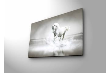 Canvastavla med LED-belysning - Vit häst som sprutar vatten i en dimmig miljö - Vit / Grå - Inredning - Tavlor & posters - Canvastavla