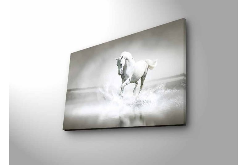 Canvastavla med LED-belysning - Vit häst som sprutar vatten i en dimmig miljö - Vit / Grå - Inredning - Tavlor & posters - Canvastavla