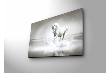 Canvastavla med LED-belysning - Vit häst som sprutar vatten i en dimmig miljö - Vit / Grå - Inredning - Tavlor & posters - Canvastavla