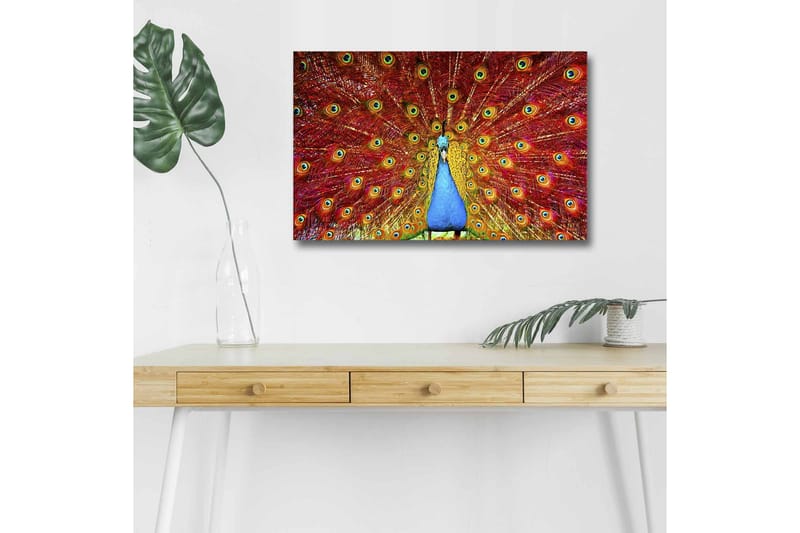 Canvastavla med LED-belysning - Praktfull påfågel med utspridda fjädrar i livfulla färger - Röd / Blå / Grön - Inredning - Tavlor & posters - Canvastavla