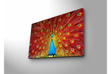 Canvastavla med LED-belysning - Praktfull påfågel med utspridda fjädrar i livfulla färger - Röd / Blå / Grön - Inredning - Tavlor & posters - Canvastavla