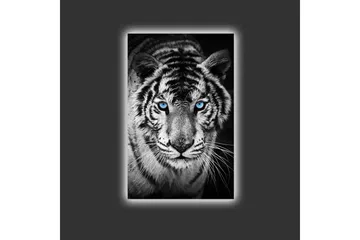 Canvastavla med LED-belysning - Porträtt av en vit tiger med blå ögon - Svart / Vit / Blå - Inredning - Tavlor & posters - Canvastavla