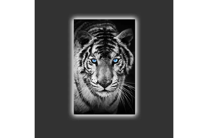 Canvastavla med LED-belysning - Porträtt av en vit tiger med blå ögon - Svart / Vit / Blå - Inredning - Tavlor & posters - Canvastavla
