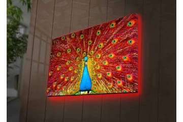 Canvastavla med LED-belysning - Praktfull påfågel med utspridda fjädrar i livfulla färger - Röd / Blå / Grön - Inredning - Tavlor & posters - Canvastavla