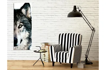 Canvastavla - Närbild av en vargs ansikte med intensiva ögon - Grå / Svart / Vit - Inredning - Tavlor & posters - Canvastavla