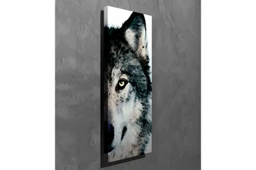 Canvastavla - Närbild av en vargs ansikte med intensiva ögon - Grå / Svart / Vit - Inredning - Tavlor & posters - Canvastavla