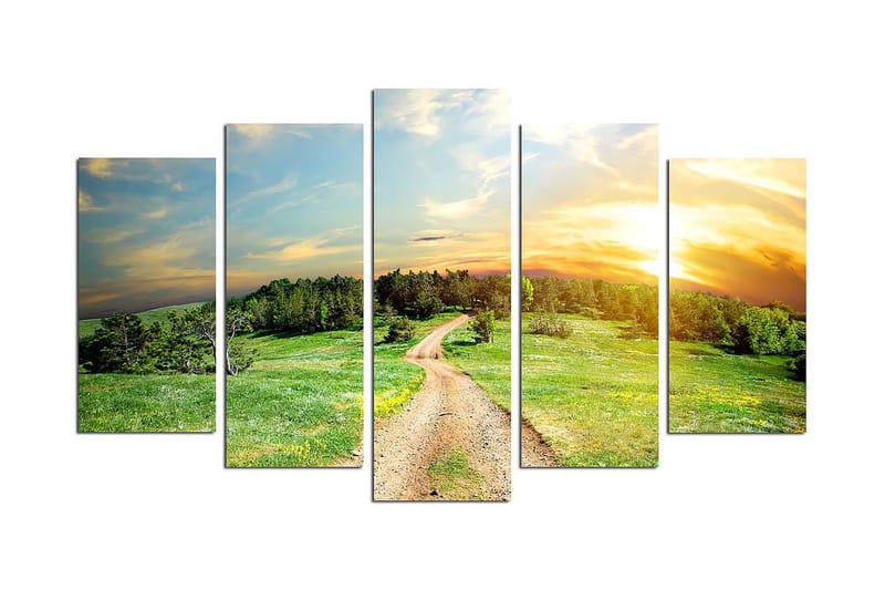 Canvastavla Nature 5-pack Flerfärgad - 20x60 cm - Inredning - Tavlor & posters - Canvastavla