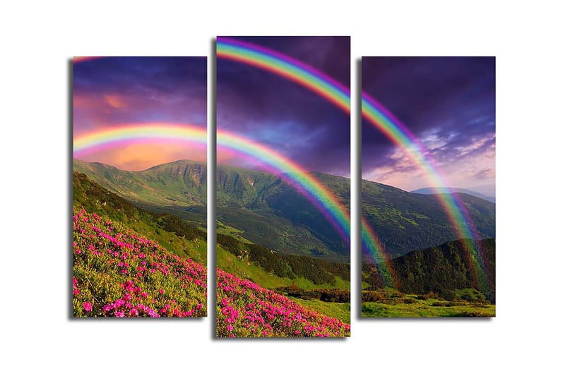 Canvastavla Nautical 3-pack Flerfärgad, 20x39 cm