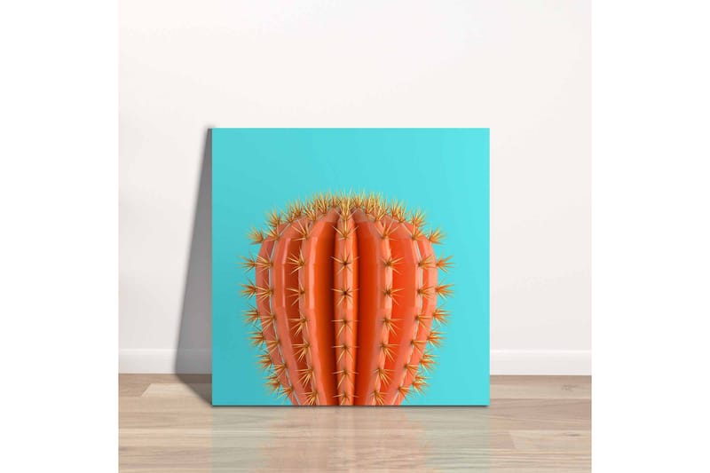 Canvastavla - Orange kaktus med taggar mot en turkos bakgrund - Orange / Turkos - Inredning - Tavlor & posters - Canvastavla
