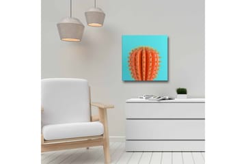 Canvastavla - Orange kaktus med taggar mot en turkos bakgrund - Orange / Turkos - Inredning - Tavlor & posters - Canvastavla