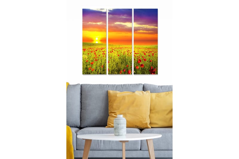 Canvastavla Scenic 3-pack Flerfärgad, 20x50 cm