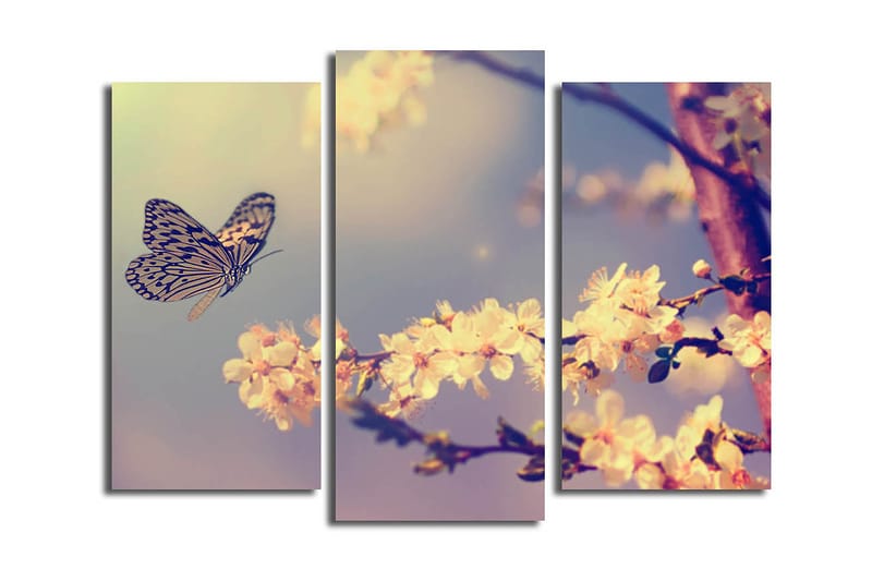 Canvastavla Scenic 3-pack Flerfärgad - 20x39 cm - Inredning - Tavlor & posters - Canvastavla