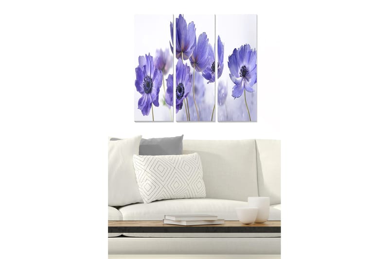 Canvastavla Scenic 3-pack Flerfärgad, 20x50 cm