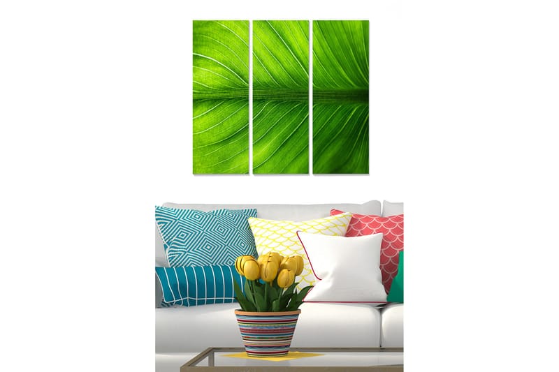 Canvastavla Scenic 3-pack Flerfärgad, 20x50 cm