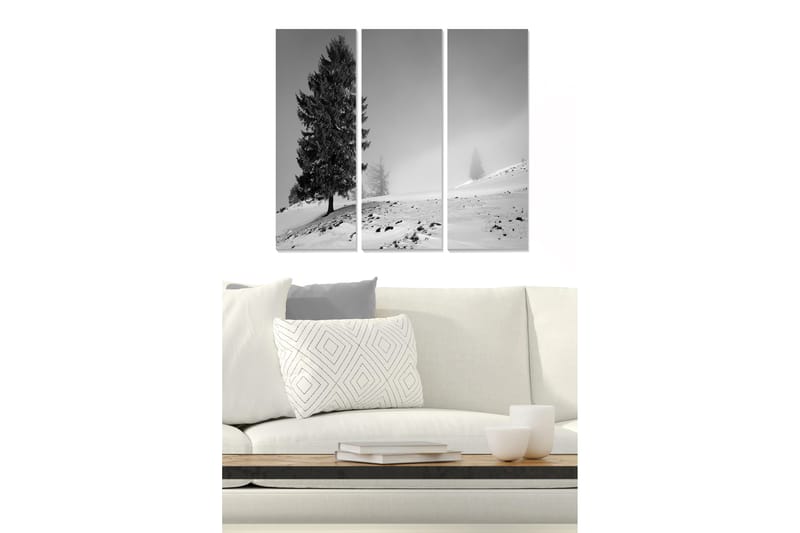 Canvastavla Scenic 3-pack Flerfärgad, 20x50 cm