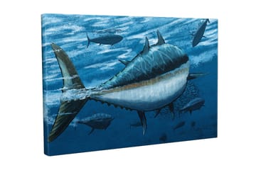 Canvastavla - Simmande tonfiskar i djupblått hav - Mörkblå / Ljusblå / Vit - Inredning - Tavlor & posters - Canvastavla