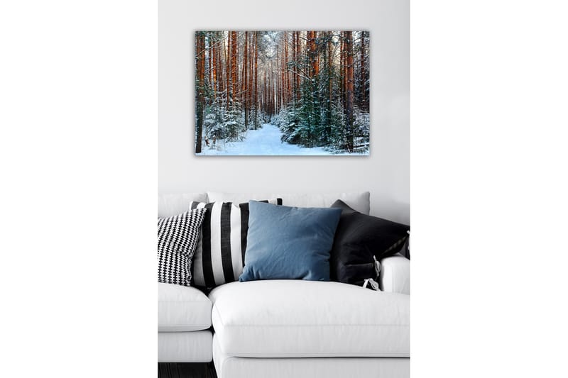 Canvastavla - Snötäckt skog med höga, raka tallar - Grön / Brun / Vit - Inredning - Tavlor & posters - Canvastavla