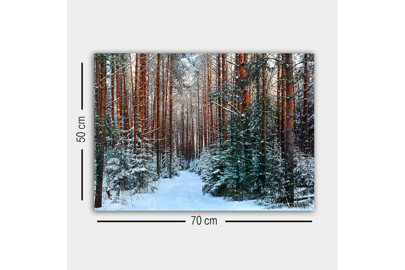 Canvastavla - Snötäckt skog med höga, raka tallar - Grön / Brun / Vit - Inredning - Tavlor & posters - Canvastavla