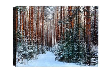 Canvastavla - Snötäckt skog med höga, raka tallar - Grön / Brun / Vit - Inredning - Tavlor & posters - Canvastavla