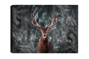 Canvastavla - Ståtlig älg med imponerande horn i snöig skogsmiljö - Brun / Grå / Vit - Inredning - Tavlor & posters - Canvastavla