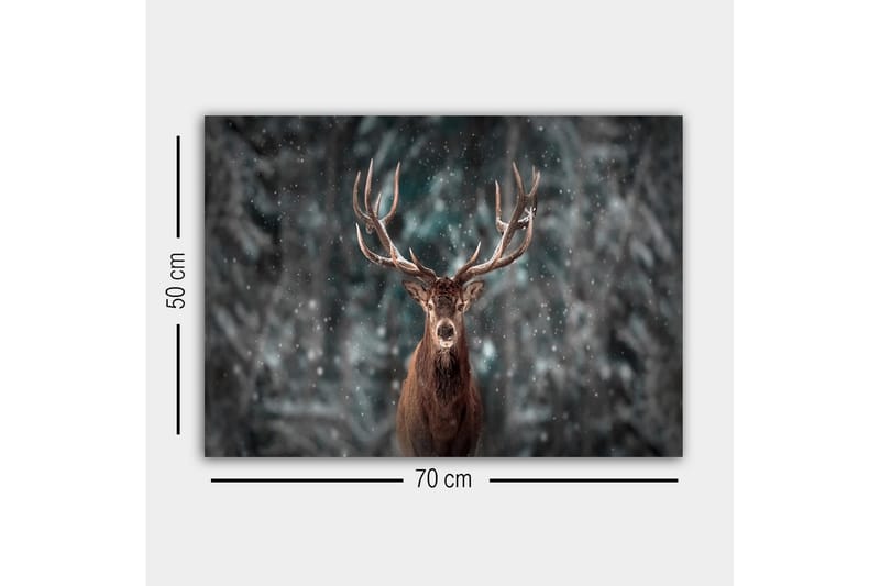 Canvastavla - Ståtlig älg med imponerande horn i snöig skogsmiljö - Brun / Grå / Vit - Inredning - Tavlor & posters - Canvastavla