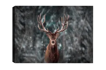 Canvastavla - Ståtlig älg med imponerande horn i snöig skogsmiljö - Brun / Grå / Vit - Inredning - Tavlor & posters - Canvastavla