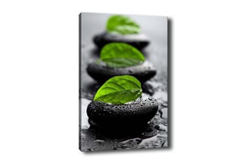 Canvastavla - Stenblock med gröna blad och vattendroppar - Svart / Grön - Inredning - Tavlor & posters - Canvastavla
