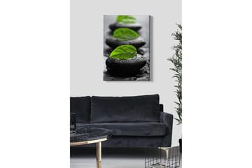 Canvastavla - Stenblock med gröna blad och vattendroppar - Svart / Grön - Inredning - Tavlor & posters - Canvastavla