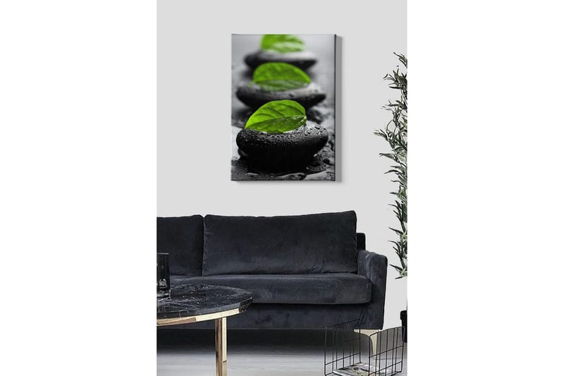Canvastavla - Stenblock med gröna blad och vattendroppar - Svart / Grön - Inredning - Tavlor & posters - Canvastavla