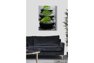 Canvastavla - Stenblock med gröna blad och vattendroppar - Svart / Grön - Inredning - Tavlor & posters - Canvastavla
