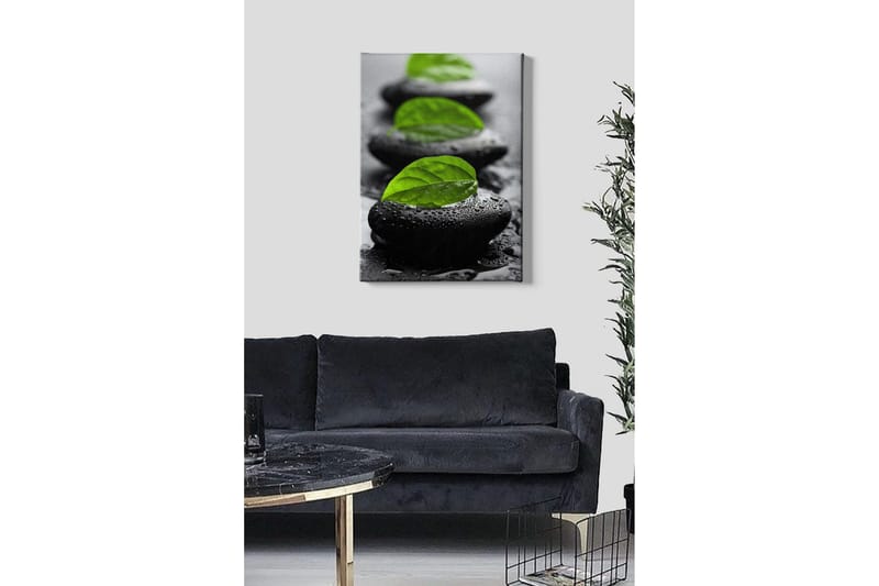 Canvastavla - Stenblock med gröna blad och vattendroppar - Svart / Grön - Inredning - Tavlor & posters - Canvastavla