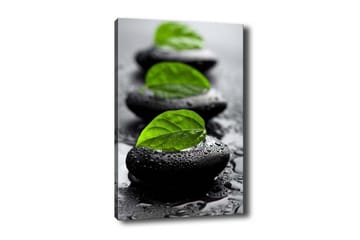 Canvastavla - Stenblock med gröna blad och vattendroppar - Svart / Grön - Inredning - Tavlor & posters - Canvastavla