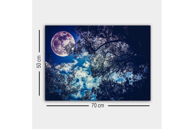 Canvastavla - Storslagen måne som lyser över en natthimmel med trädtoppar i silhuett - Mörkblå / Ljusblå / Vit - Inredning - Tavlor & posters - Canvastavla