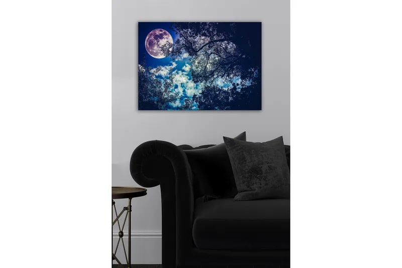 Canvastavla - Storslagen måne som lyser över en natthimmel med trädtoppar i silhuett - Mörkblå / Ljusblå / Vit - Inredning - Tavlor & posters - Canvastavla