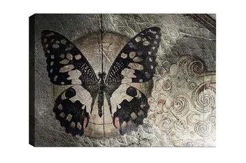 Canvastavla - Svart fjäril med mönster mot en subtil bakgrund - Svart / Beige / Grå - Inredning - Tavlor & posters - Canvastavla
