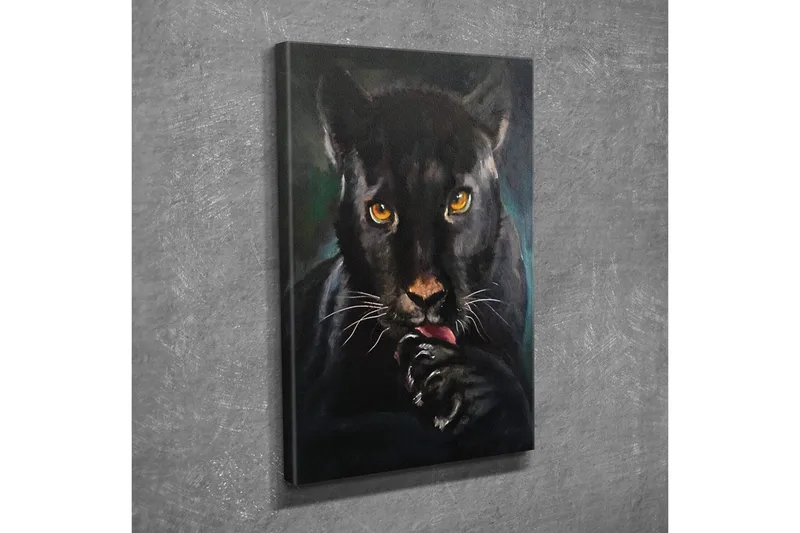 Canvastavla - Svart panter med intensiva ögon som slickar sin tass - Svart / Guld / Mörkgrön - Inredning - Tavlor & posters - Canvastavla