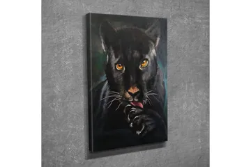 Canvastavla - Svart panter med intensiva ögon som slickar sin tass - Svart / Guld / Mörkgrön - Inredning - Tavlor & posters - Canvastavla