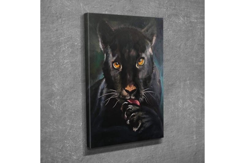 Canvastavla - Svart panter med intensiva ögon som slickar sin tass - Svart / Guld / Mörkgrön - Inredning - Tavlor & posters - Canvastavla