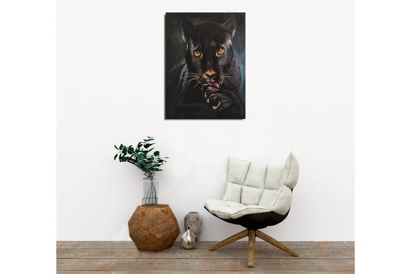 Canvastavla - Svart panter med intensiva ögon som slickar sin tass - Svart / Guld / Mörkgrön - Inredning - Tavlor & posters - Canvastavla
