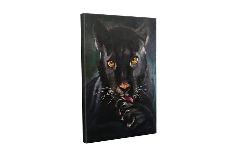 Canvastavla - Svart panter med intensiva ögon som slickar sin tass, Svart / Guld / Mörkgrön