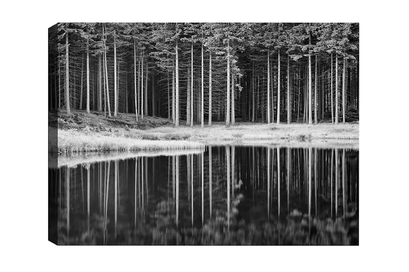 Canvastavla - Svartvit skogsscen med spegelbild i vattnet, Svart / Vitt / Grått