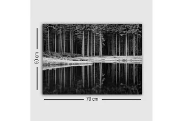 Canvastavla - Svartvit skogsscen med spegelbild i vattnet - Svart / Vitt / Grått - Inredning - Tavlor & posters - Canvastavla