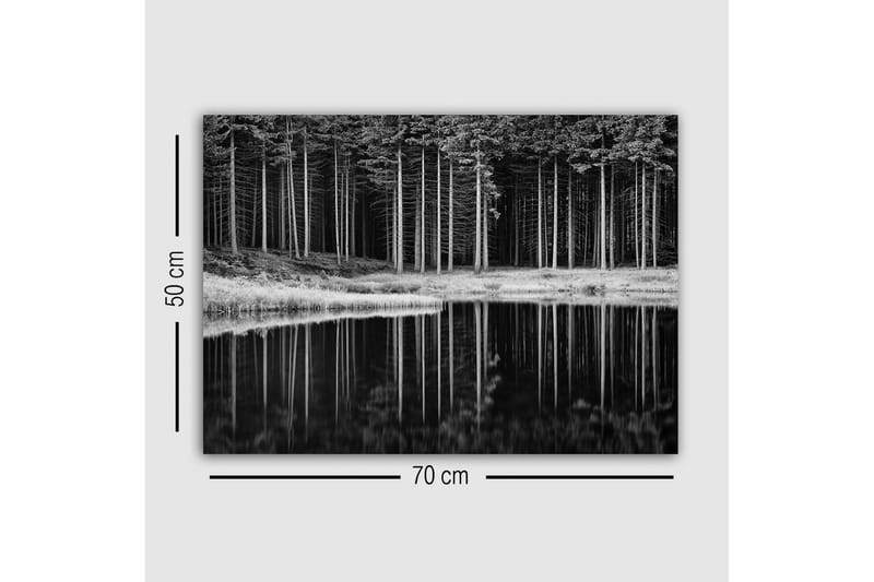 Canvastavla - Svartvit skogsscen med spegelbild i vattnet - Svart / Vitt / Grått - Inredning - Tavlor & posters - Canvastavla