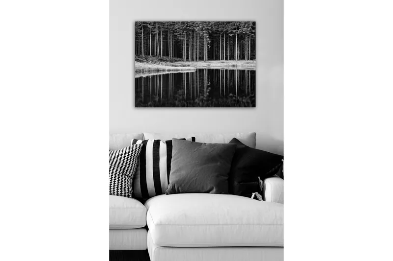 Canvastavla - Svartvit skogsscen med spegelbild i vattnet - Svart / Vitt / Grått - Inredning - Tavlor & posters - Canvastavla