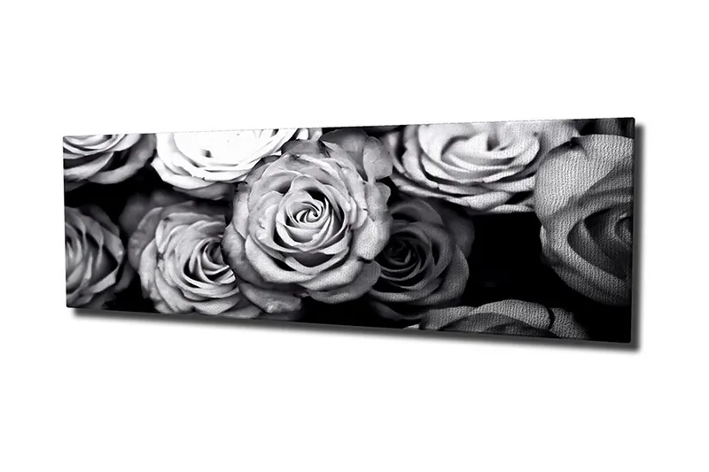 Canvastavla Svartvita rosor, Svart/Vit