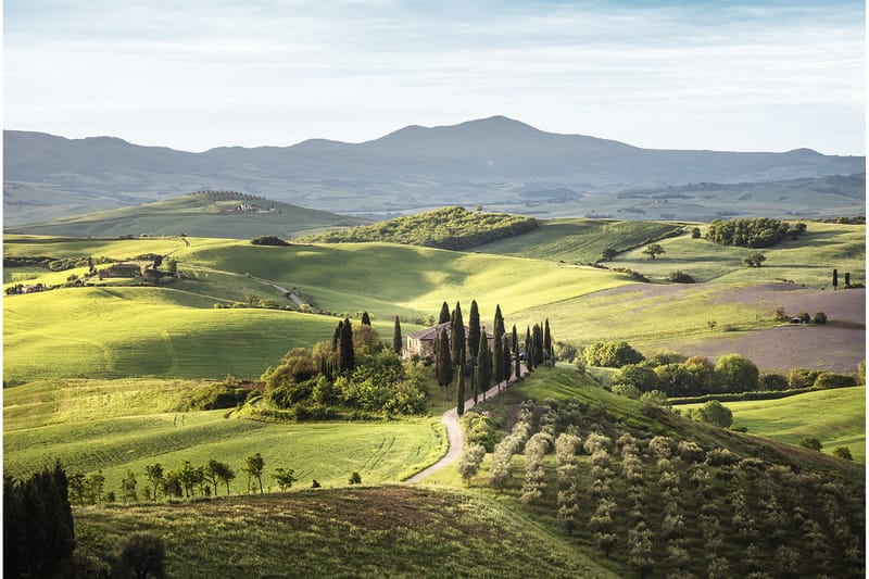 Canvastavla Tuscany - 80x120 cm - Inredning - Tavlor & posters - Canvastavla