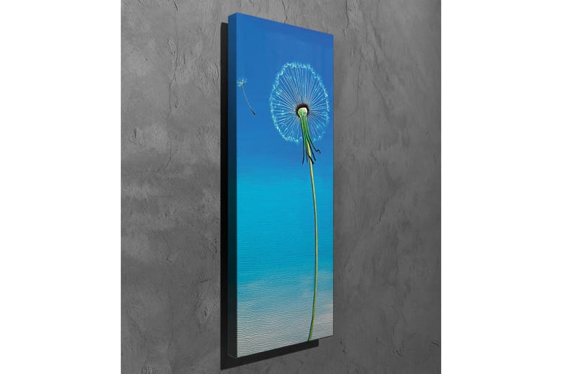 Canvastavla - Tussilago med blå bakgrund - Blå / Grön / Vit - Inredning - Tavlor & posters - Canvastavla