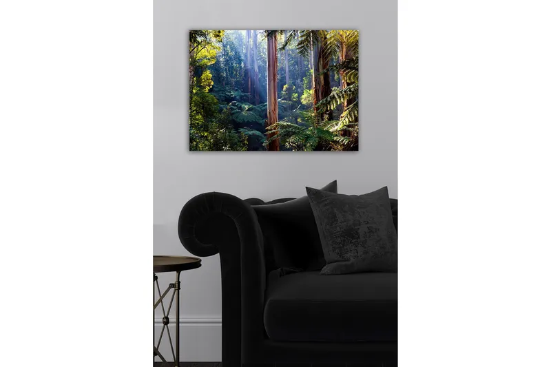 Canvastavla - Tyst skog med höga eukalyptusträd och frodig vegetation - Grön / Brun / Gul - Inredning - Tavlor & posters - Canvastavla